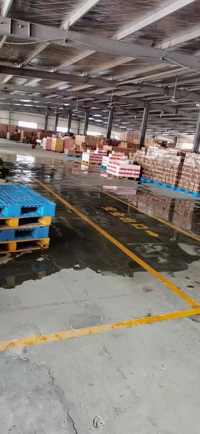 1694792665160911.jpg